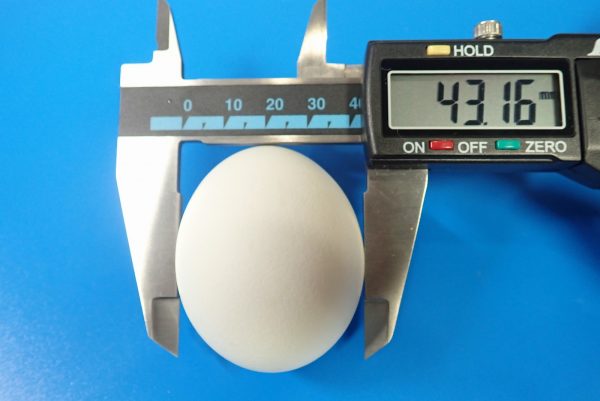 百均浪漫◆味つけ ゆでたまご２個。一応、卵のサイズも測っておく。